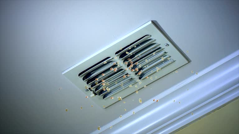 Best Home Air Vent Cleaning  in Marillo, CA