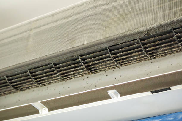 Best Best Air Duct Cleaning Company  in Marillo, CA